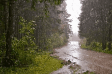 Raining Rainy Weather GIF