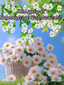 a bunch of daisies in a basket with a blue sky behind them
