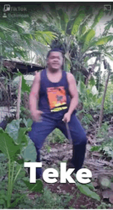 Teke Haapai Vavau Tonga GIF - Teke Haapai Vavau Tonga Dance GIFs