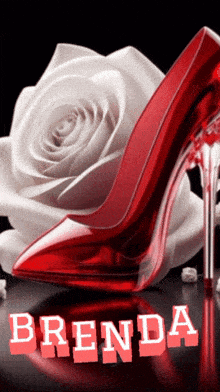 a red shoe with the name brenda written in red