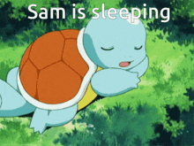 Samcord Sleep GIF