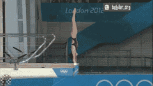 New Olympics GIF - Dive Sport Shark GIFs