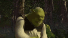 Shrek Shrek2 GIF