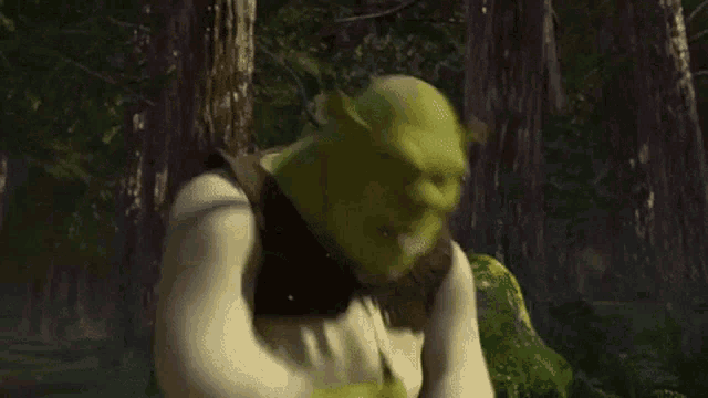 Shrek: Subarashii, Reaction Images
