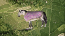 Horse Dream GIF - Horse Dream Falling GIFs