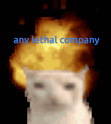 Lethal Company Cat GIF - Lethal Company Cat Any Lethal Company GIFs