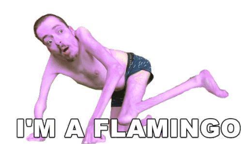 Im A Flamingo Ricky Berwick Sticker - Im A Flamingo Ricky Berwick Human Flamingo Stickers