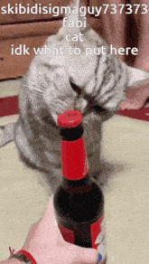 a person is holding a bottle of beer and a cat is licking the bottle cap