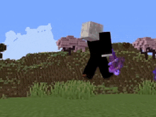 a minecraft character is walking in a field with flowers in the background