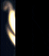 a black and gold logo with the letter m
