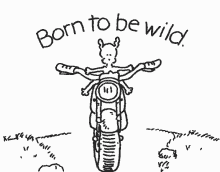 Motorcycle GIF - Motorcycle Motor Born To Be Wild GIFs