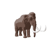 mammoth mummoth