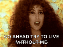 Cher Wig GIF