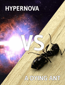 a poster that says hypernova vs a dying ant with a picture of an ant