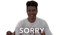 sorry my bad im sorry apology apologize