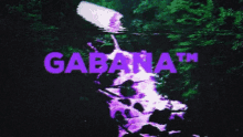 Gabana GIF - Gabana GIFs
