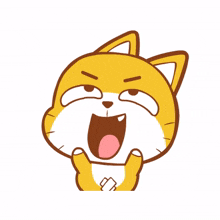 animal kitty cat cute laugh