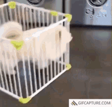 Pup Pupper GIF - Pup Pupper Escape GIFs