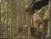 a video of a forest with trees and a river in the background