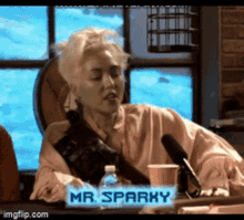 a woman is sitting at a table with a sign that says mr sparky