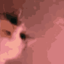 a close up of a cat 's face with a pink background