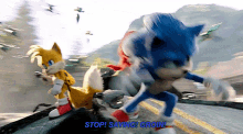 Sonic Movie2 Stop Saying Groin GIF - Sonic Movie2 Stop Saying Groin Groin GIFs