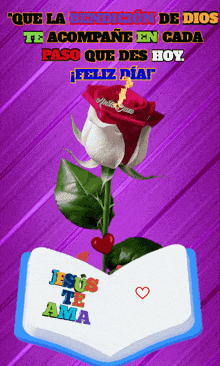 a purple background with a red rose and a book that says jesus te ama
