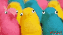 a bunch of stuffed animals with googly eyes and the name aliabdi on the bottom right