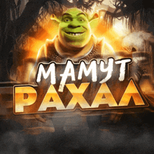a shrek poster that says mamyt paxaaa