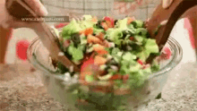 salad mixing olive tomato