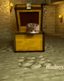 cute cat mc minecraft kitten