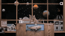 Cat Hello GIF - Cat Hello Heythere GIFs