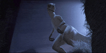 a statue of a dinosaur standing in the dark
