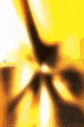 a close up of a person 's face with a yellow background .