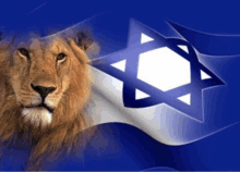 Israel GIF - Israel GIFs