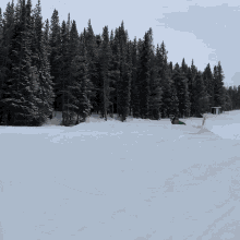 Copper Mountain Snow GIF - Copper Mountain Snow Winter GIFs