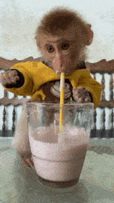 Fruityrsreal Monkey GIF - Fruityrsreal Monkey Drinking GIFs