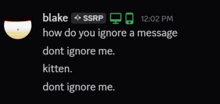 blake ssrp 12:02 pm how do you ignore a message dont ignore me kitten don t ignore me