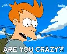 are you crazy philip j fry futurama are you out of your mind have you gone mad