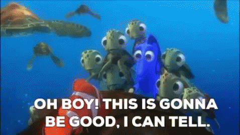 Finding Nemo This Is Going To Be Good GIF - Finding Nemo This Is Going To Be Good Good GIFs
