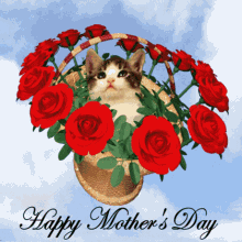 Happy Mothers Day Kitten In Basket GIF - Happy Mothers Day Kitten In Basket Rose Basket GIFs