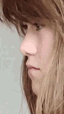 a close up of a woman 's face with long hair and a very large nose .