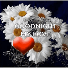 Goodnight Love GIF - Goodnight Love Flowers GIFs