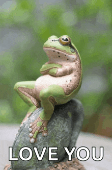a frog is sitting on a rock with the words love you written below it