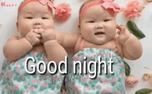 Goodnight Sweet Dreams GIF - Goodnight Sweet Dreams Cute Babies GIFs