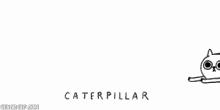 Caterpillar Funny GIF - Caterpillar Funny Cat GIFs
