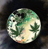 Weed Pot GIF - Weed Pot Cannabis GIFs