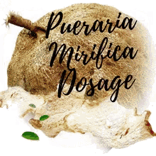 a coconut with the words pueraria mirifica dosage on it