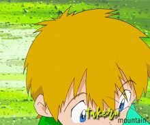 a green and yellow cartoon character with the name takeru mountain