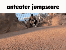 Anteater Jumpscare GIF - Anteater Jumpscare Scary GIFs